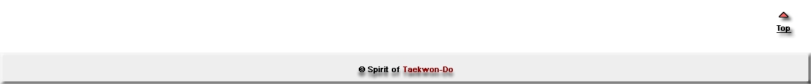 Spirit of Taekwon-Do 